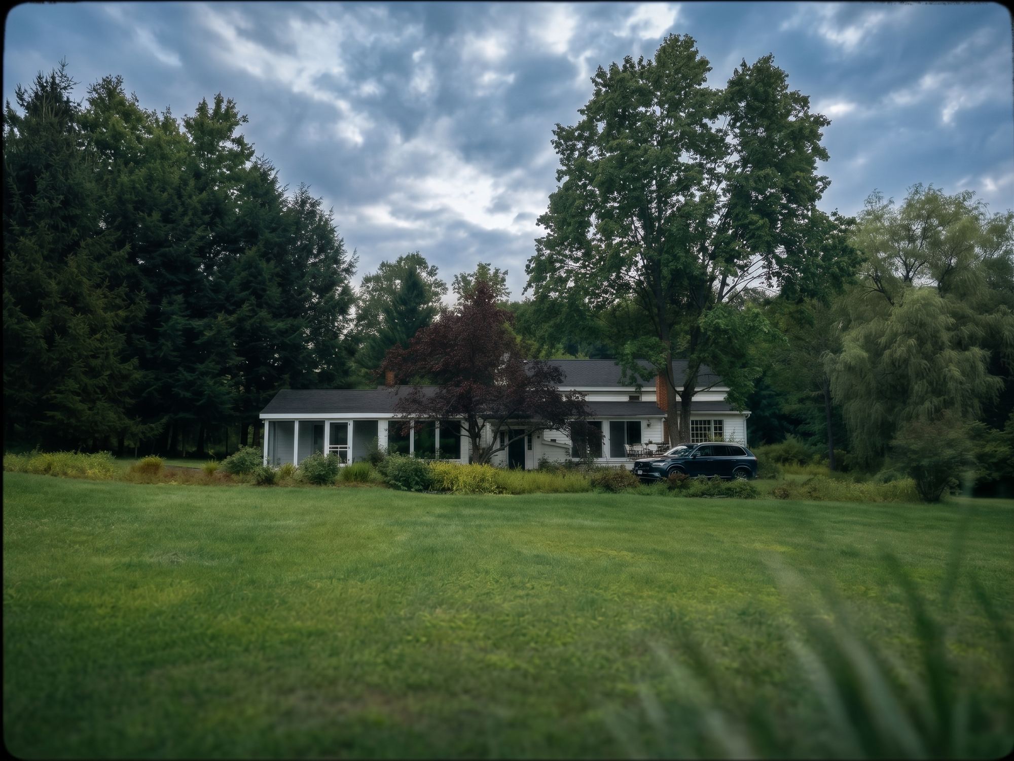 the back of the house