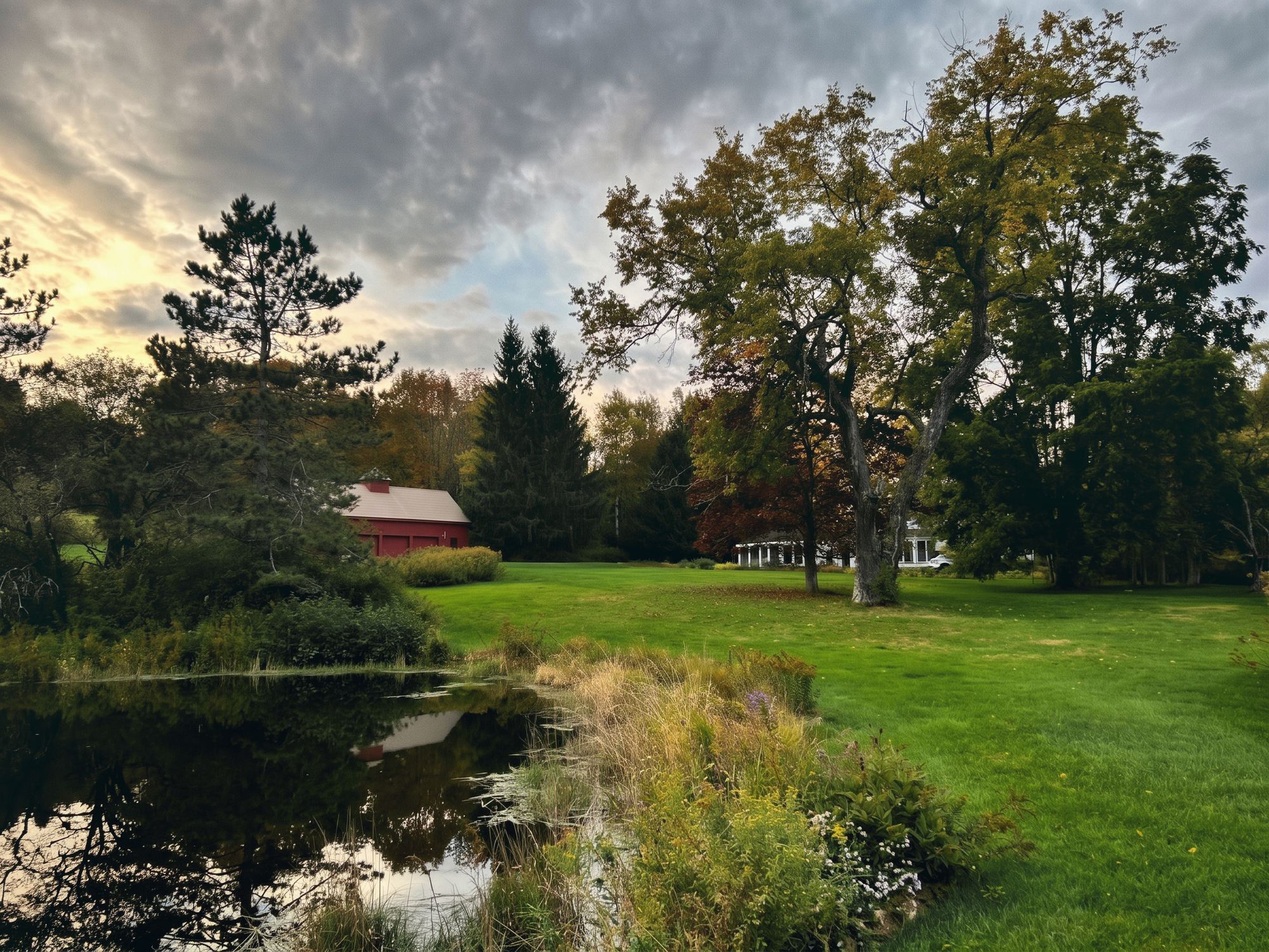 the near pond