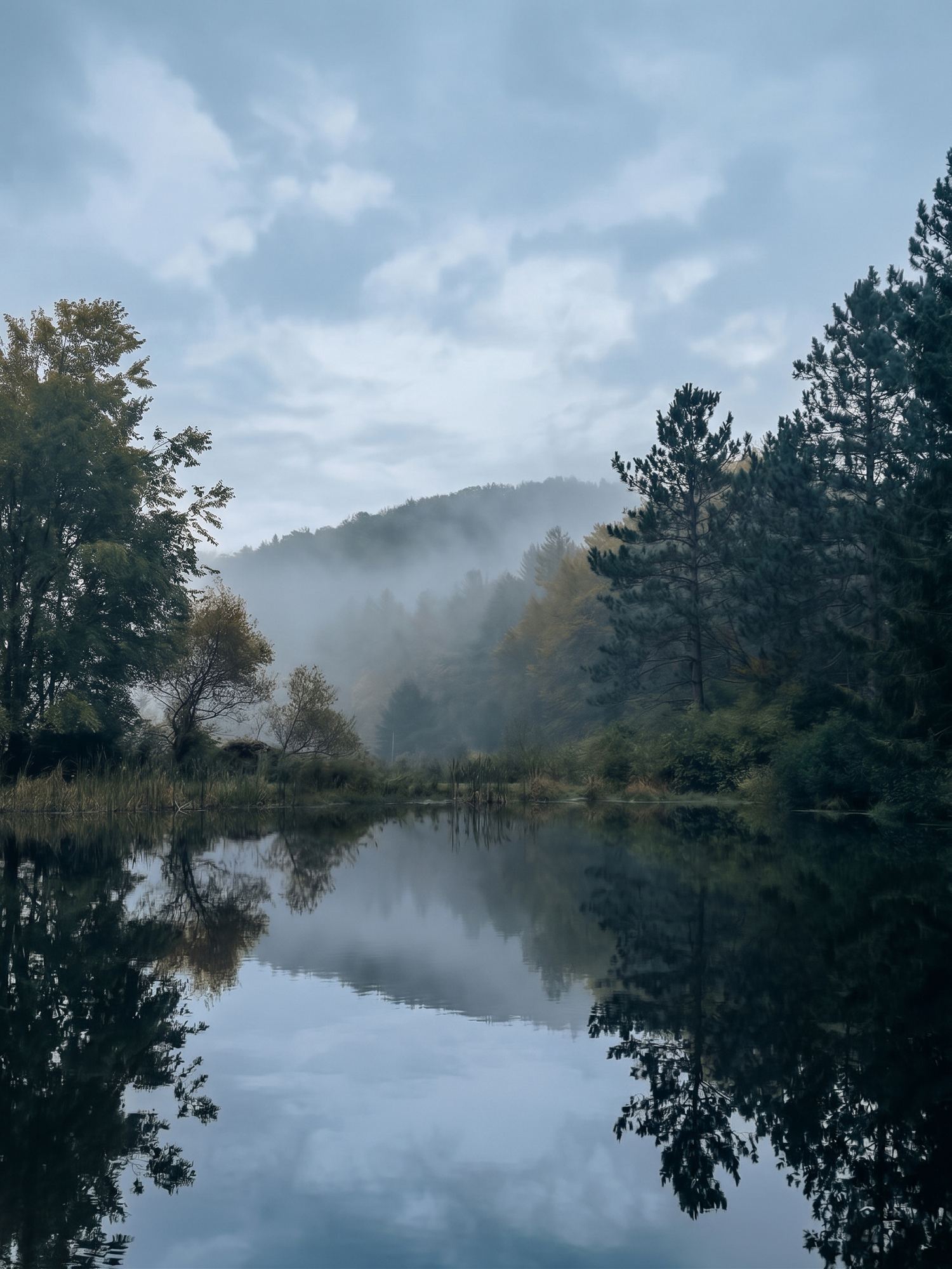 fog on the far ridge
